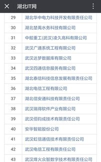 祝賀湖北47家企業(yè)成功通過信息系統(tǒng)集成資質(zhì)壹級(jí)與貳級(jí)認(rèn)證